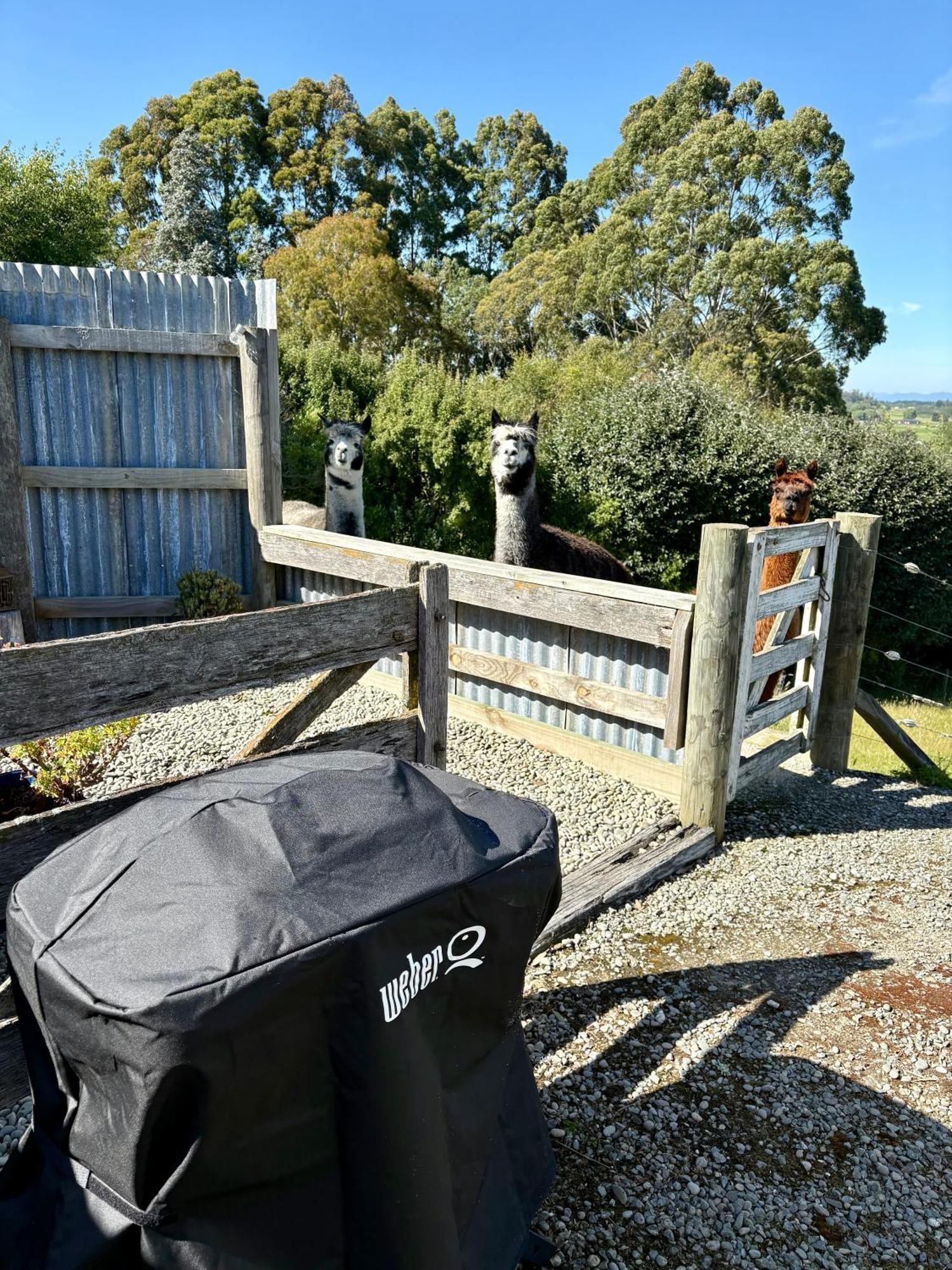 The Shepherd'S Rest Oamaru Exterior foto